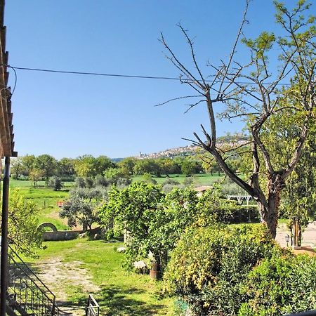 B&B Torrematta Assisi Exterior photo