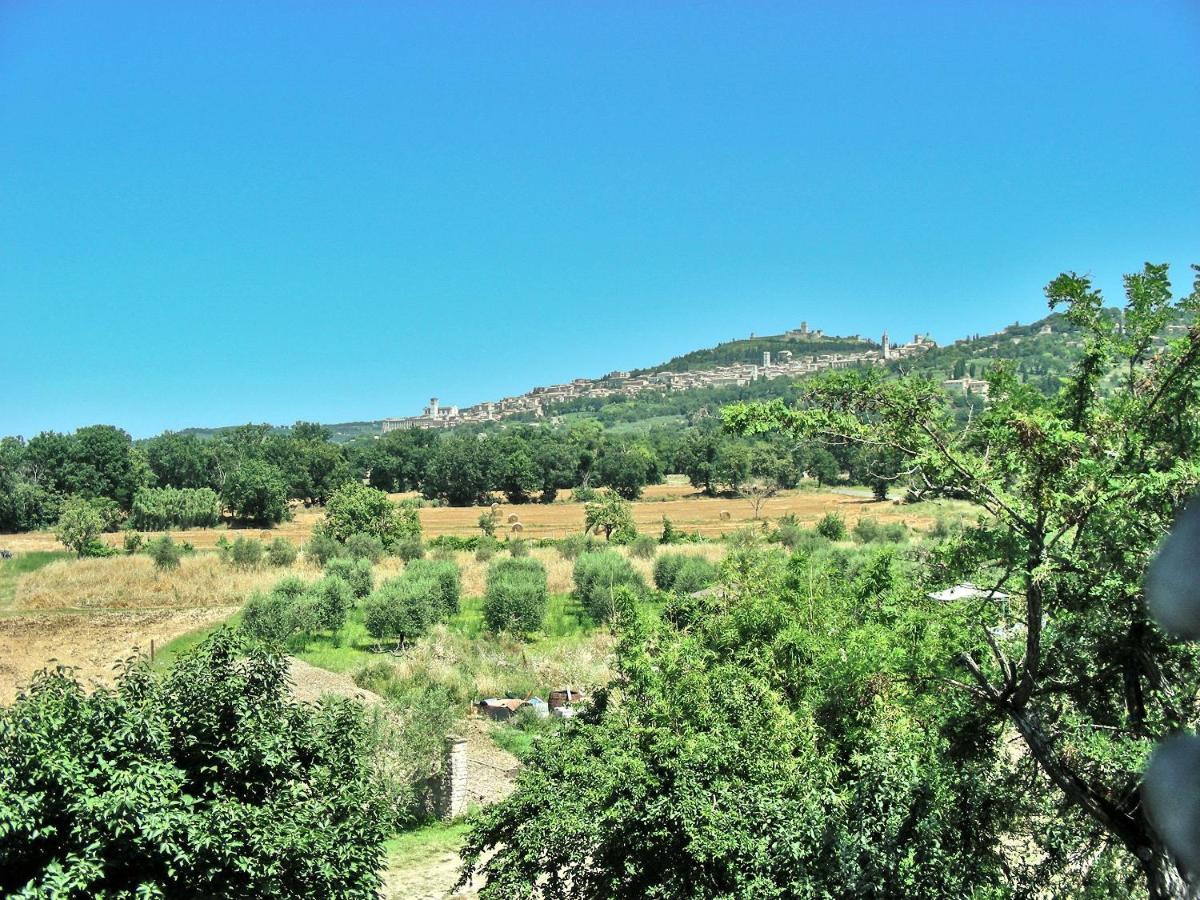 B&B Torrematta Assisi Exterior photo