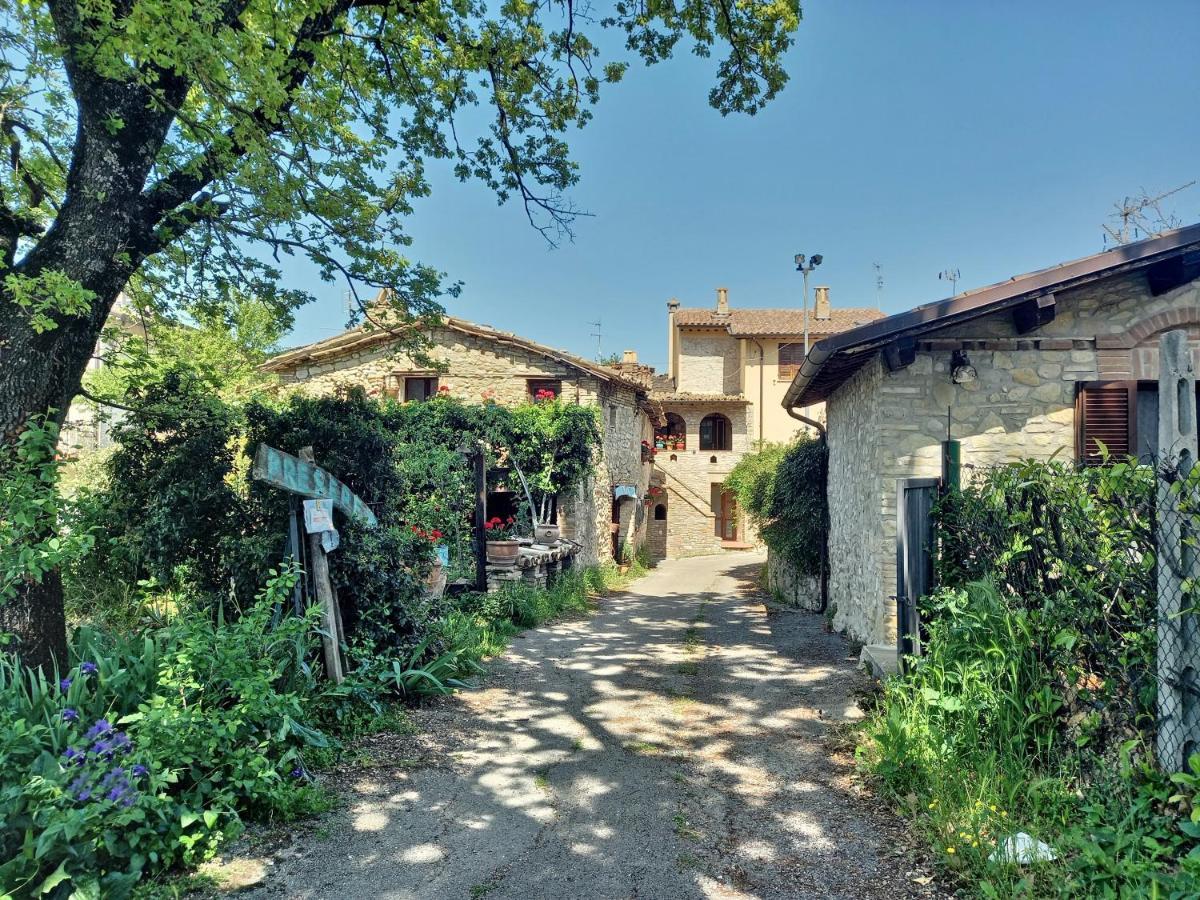 B&B Torrematta Assisi Exterior photo