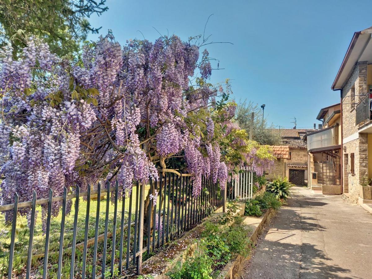 B&B Torrematta Assisi Exterior photo