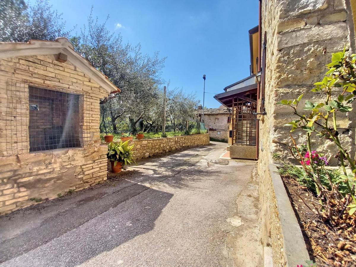 B&B Torrematta Assisi Exterior photo