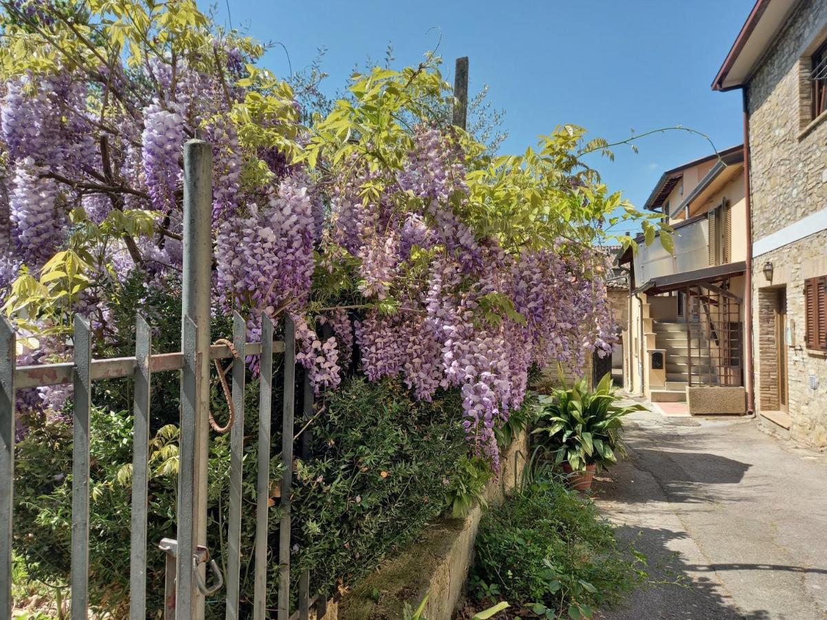 B&B Torrematta Assisi Exterior photo